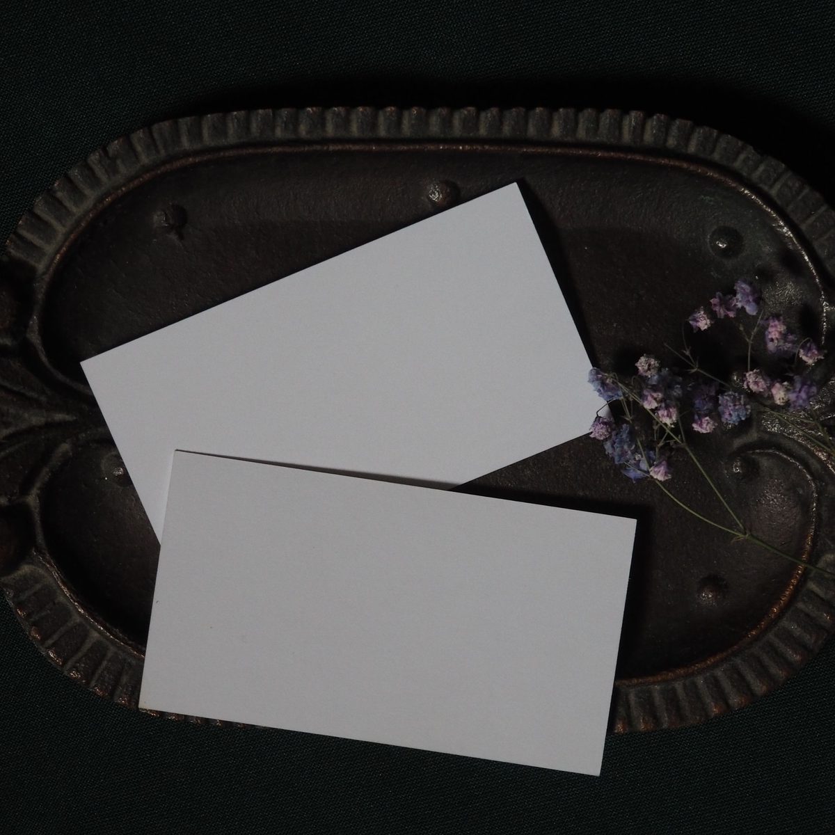 Cartes de visite
